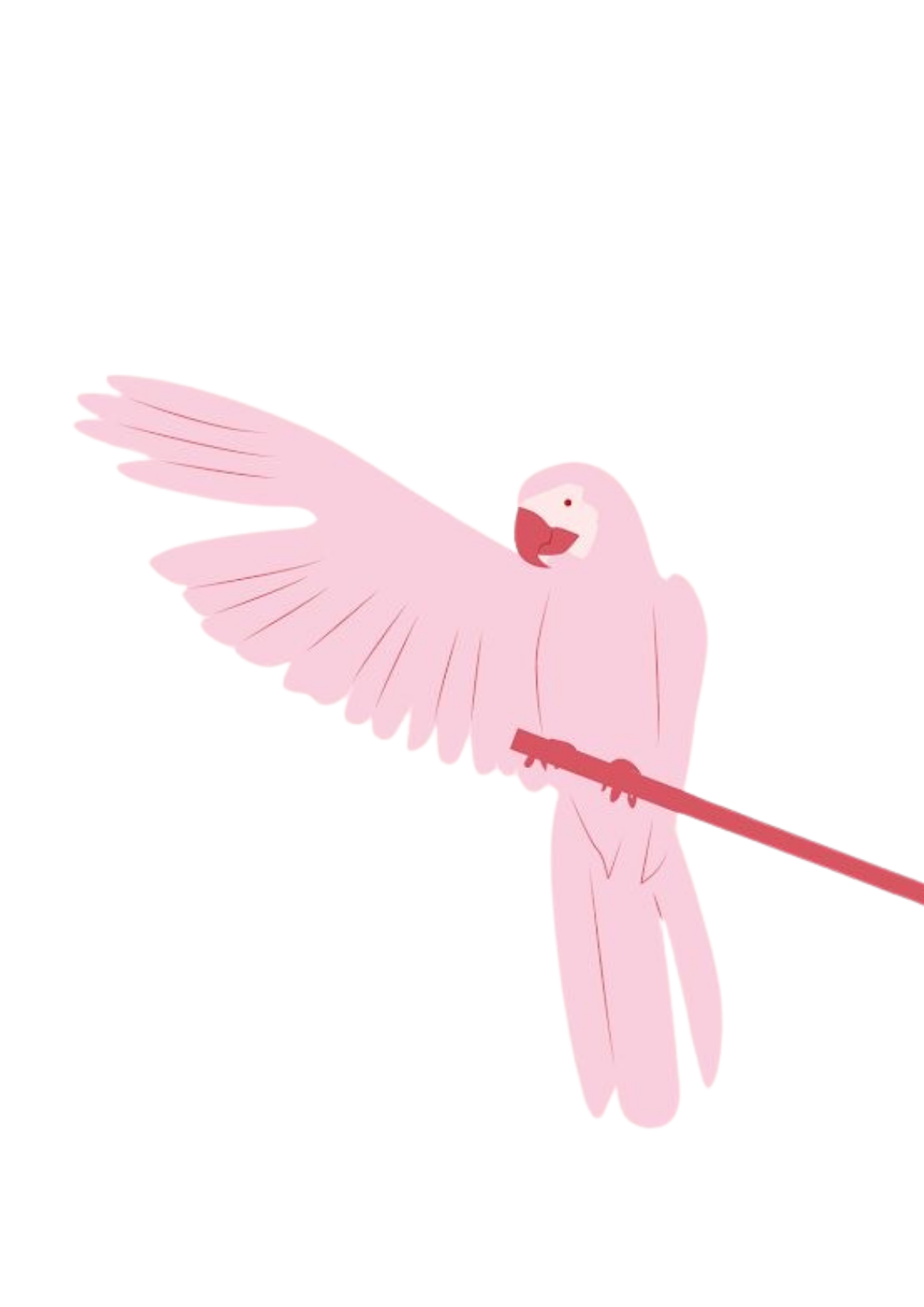 Parrot Kit