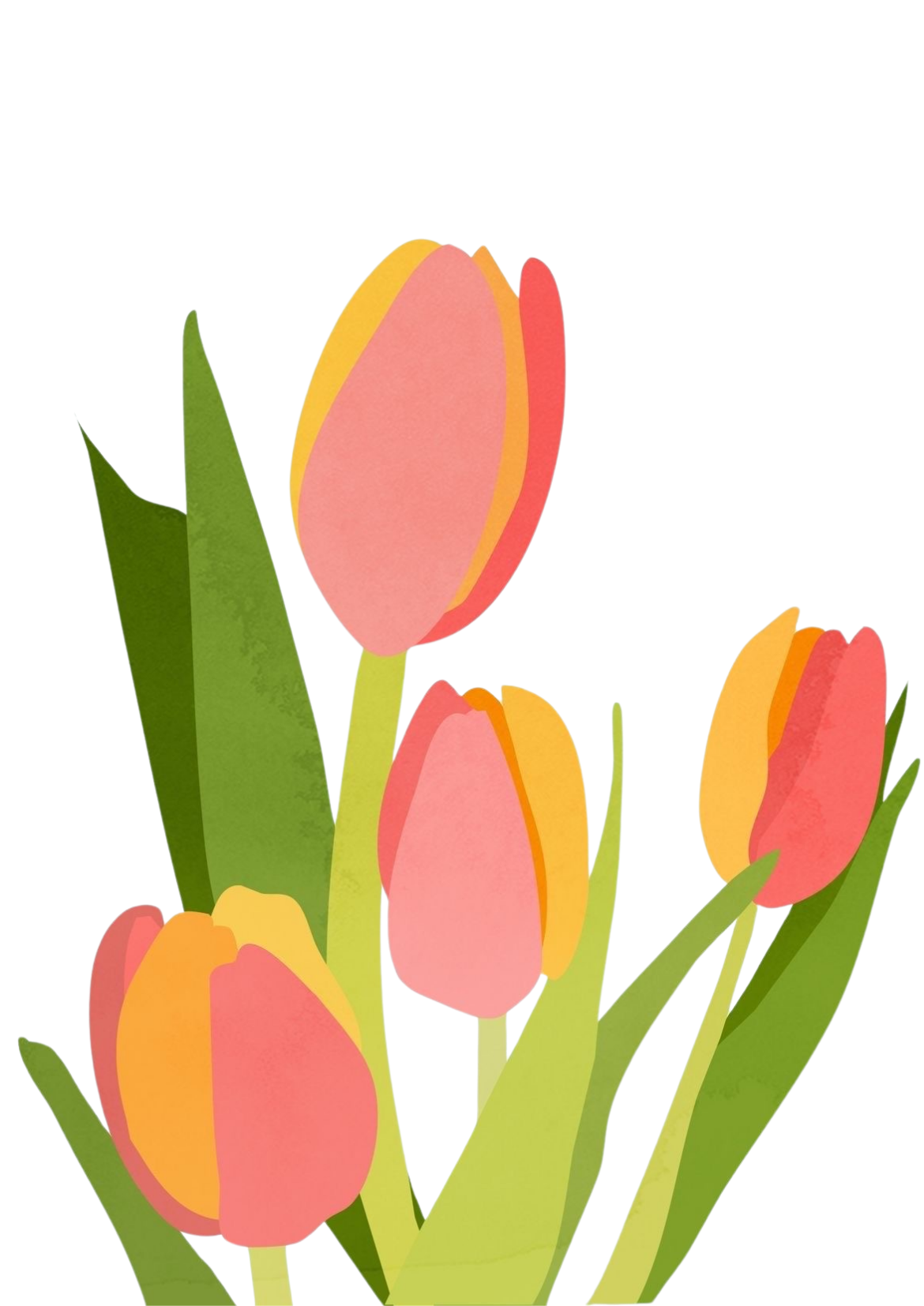 Orange tulips Kit