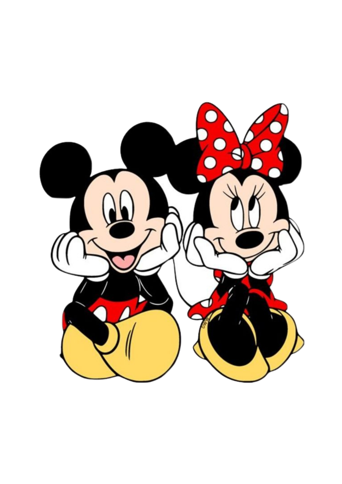 Mickey and Minnie Kit