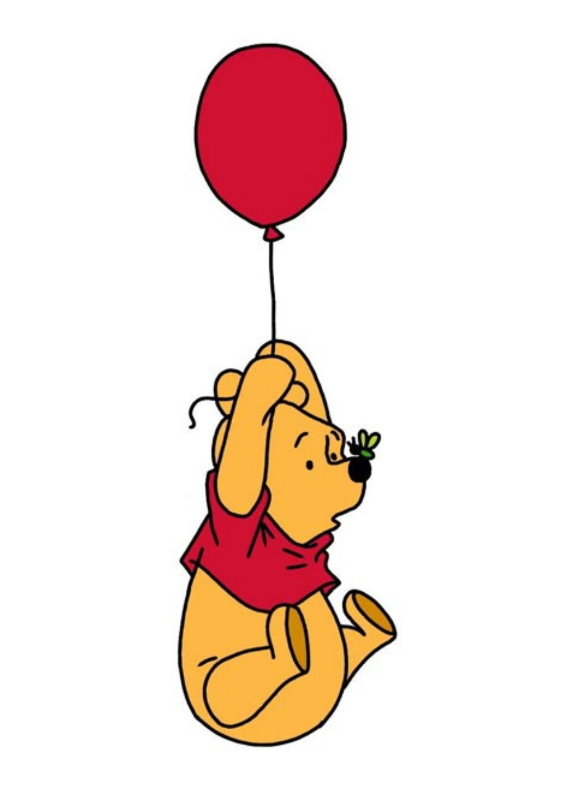 Winnie the pooh kit