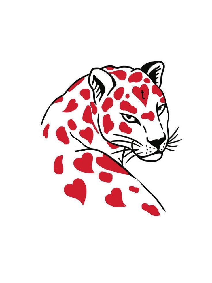 Leopard Mini Kit