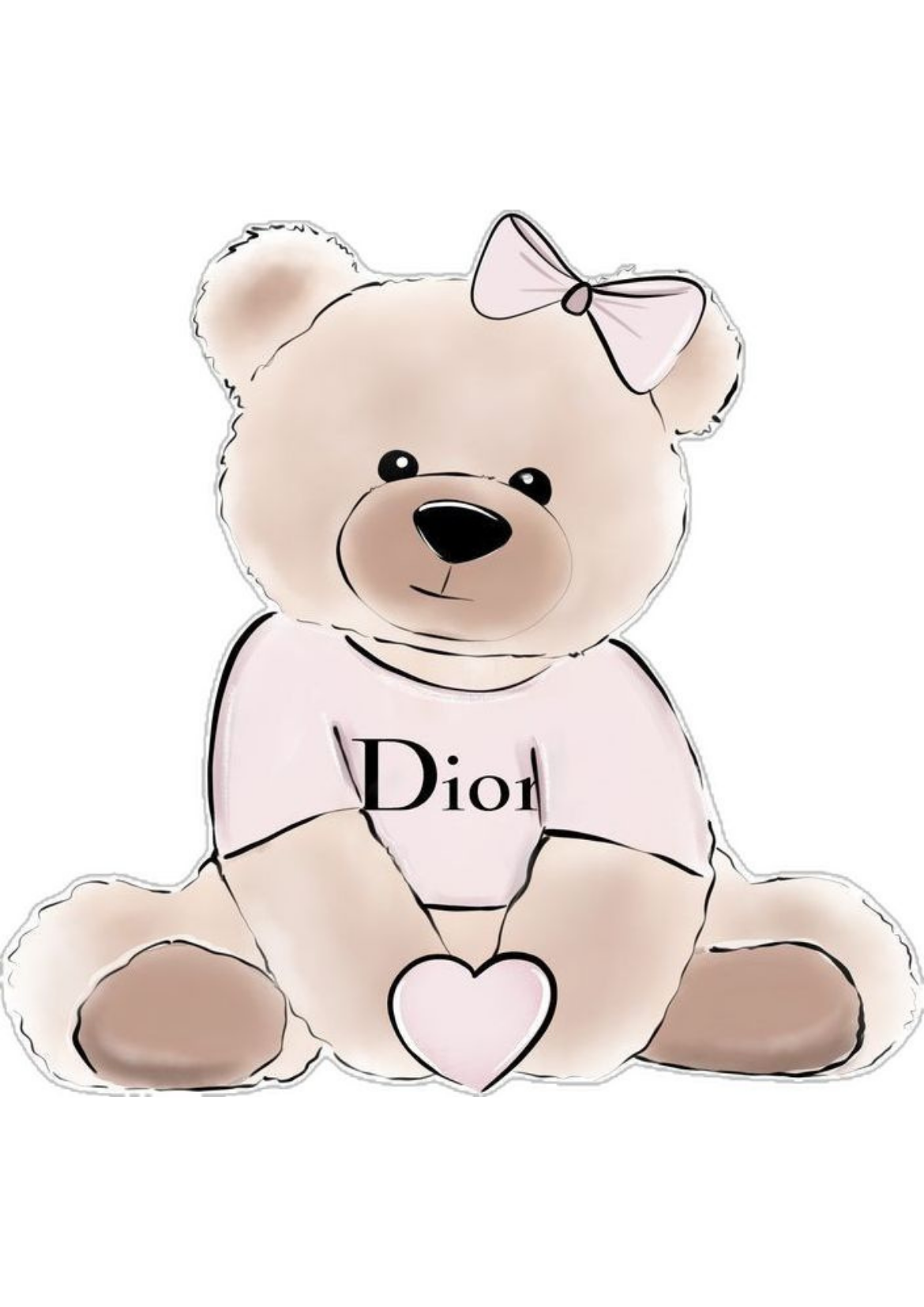 Dior bear Kit