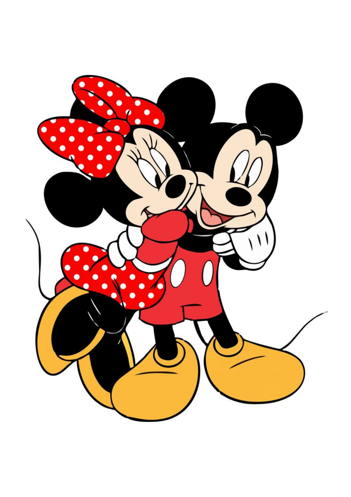 Mickey and Minnie Kit