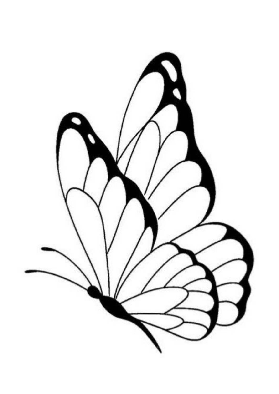 Butterfly Kit (color of the wings is customizable)
