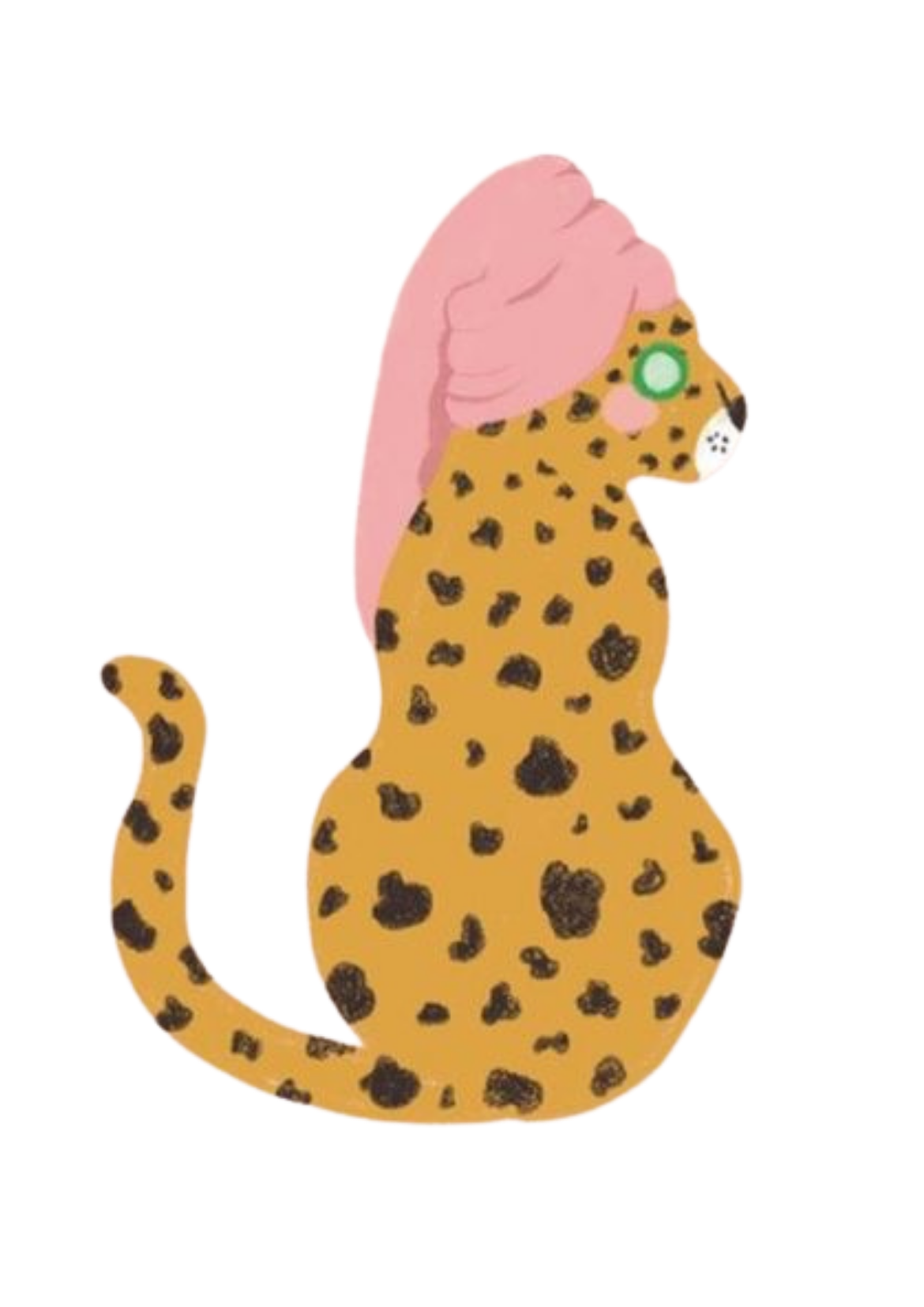 Cheetah Kit